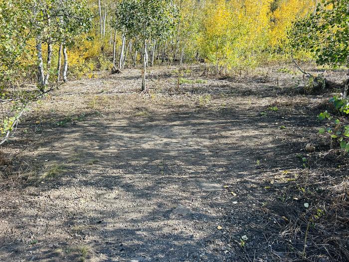 A photo of Site A05 of Loop A at PAYSON LAKES with Tent Pad