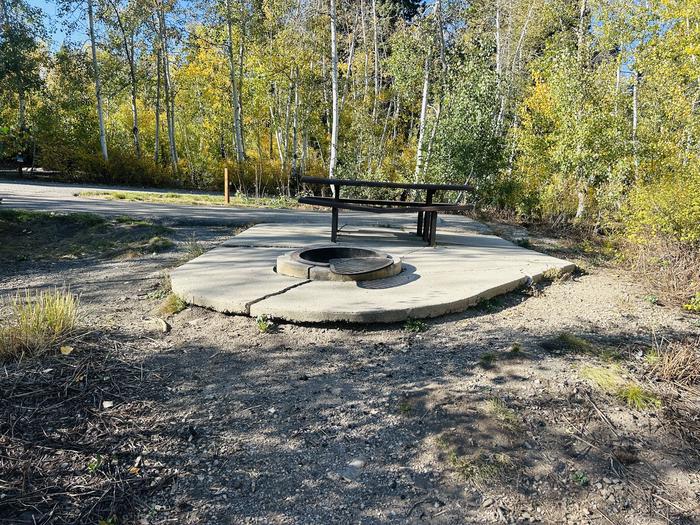 A photo of Site A05 of Loop A at PAYSON LAKES with Picnic Table, Fire Pit, Tent Pad