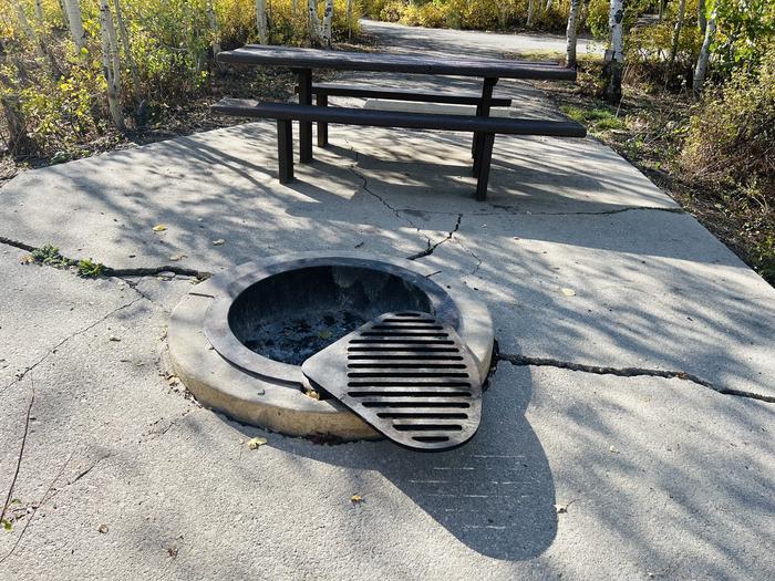 A photo of Site A08 of Loop A at PAYSON LAKES with Picnic Table, Fire Pit