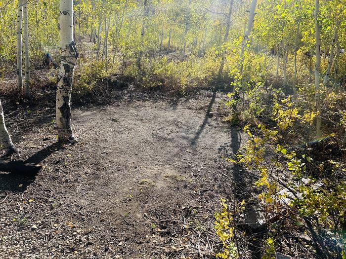 A photo of Site A08 of Loop A at PAYSON LAKES with Tent Pad