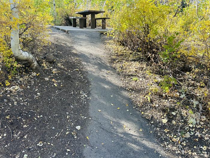 Path to picnic table 