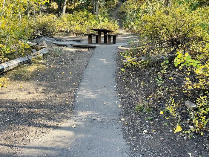 Path to picnic table 