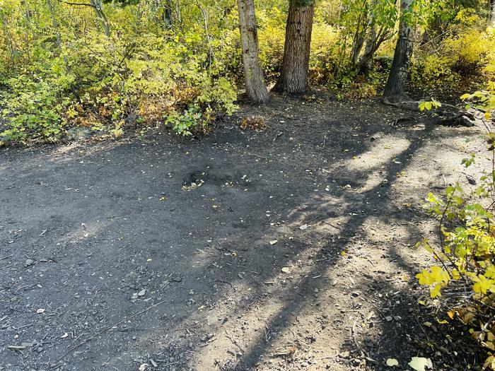 A photo of Site A18 of Loop A at PAYSON LAKES with Tent Pad