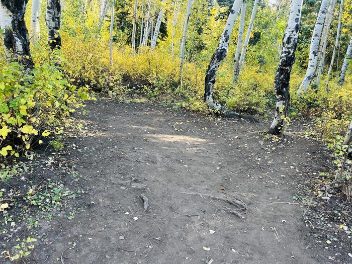 A photo of Site A15 of Loop A at PAYSON LAKES with Tent Pad