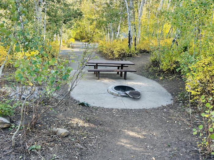 A photo of Site A15 of Loop A at PAYSON LAKES with Picnic Table, Fire Pit, Tent Pad