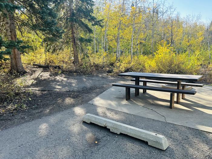 A photo of Site A21 of Loop A at PAYSON LAKES with Picnic Table, Tent Pad