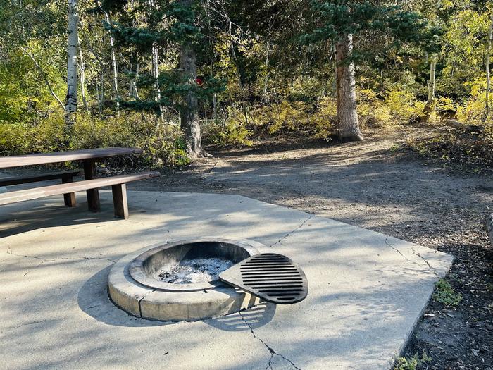 A photo of Site A21 of Loop A at PAYSON LAKES with Picnic Table, Fire Pit, Tent Pad