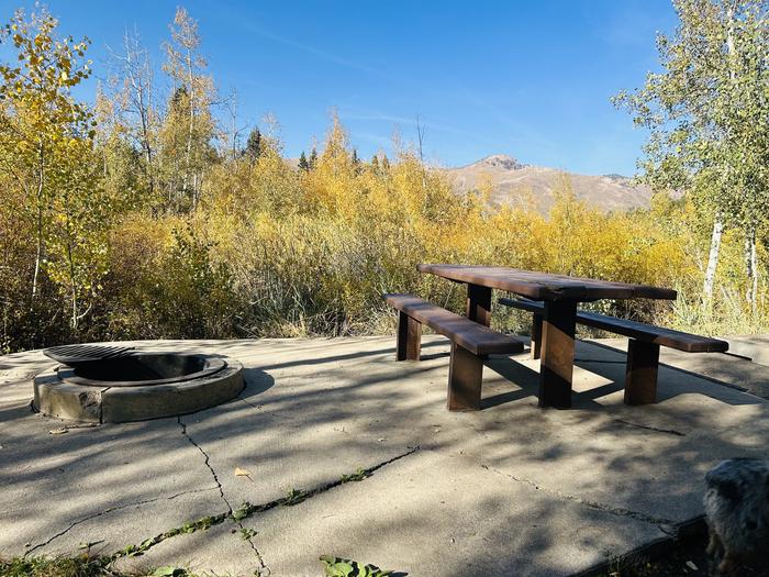 A photo of Site A22 of Loop A at PAYSON LAKES with Picnic Table, Fire Pit