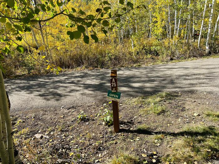 Site marker 