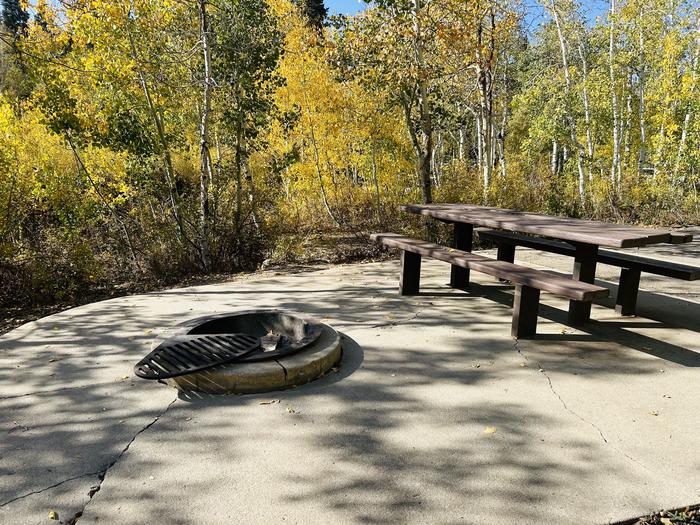 A photo of Site A25 of Loop A at PAYSON LAKES with Picnic Table, Fire Pit