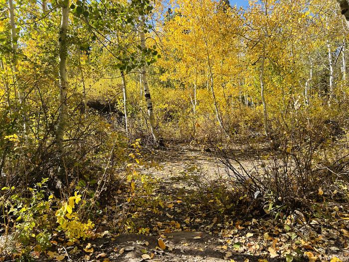 A photo of Site A25 of Loop A at PAYSON LAKES with Tent Pad