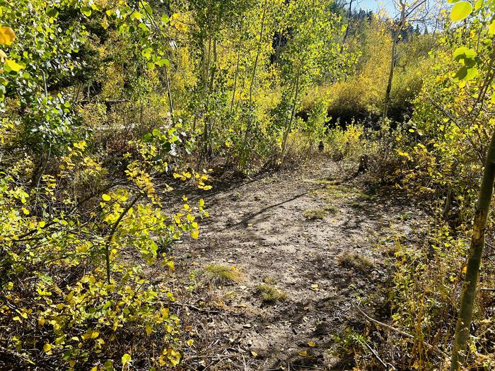 A photo of Site A25 of Loop A at PAYSON LAKES with Tent Pad