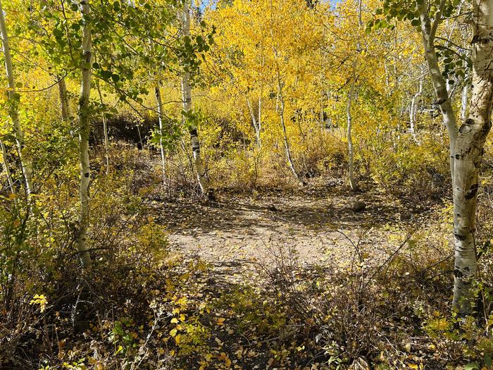 A photo of Site A25 of Loop A at PAYSON LAKES with Tent Pad