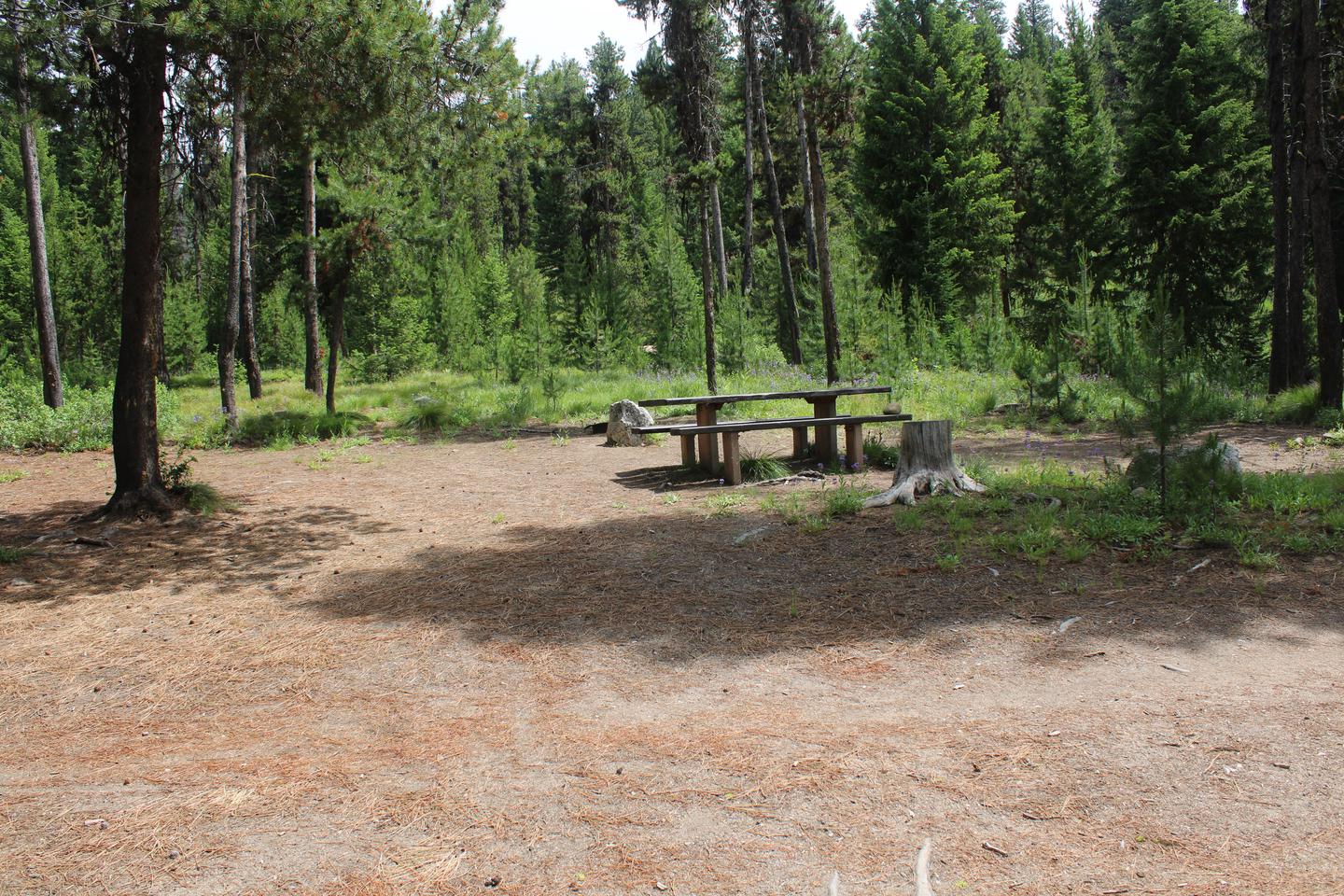 Site picnic table