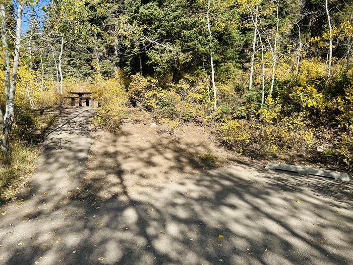 Pathway to picnic table 