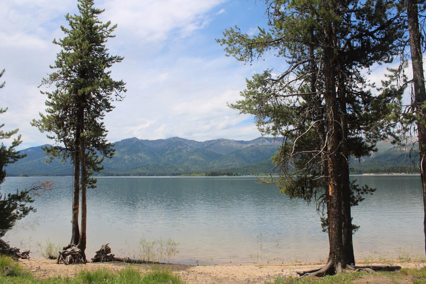 View of Deadwood Reservoir through the treesView of Deadwood Reservoir from campsite