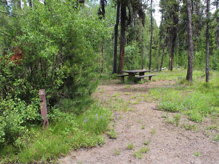 Site 1, a dirt path covered in flowers leads to the sites picnic tableSite 1, Howers Campground, Boise National Forest