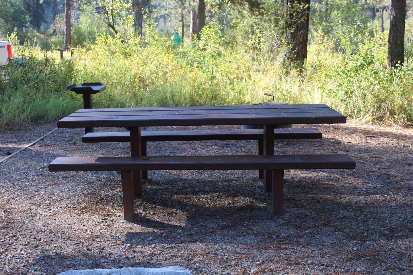 Site picnic table in the shadePicnic table