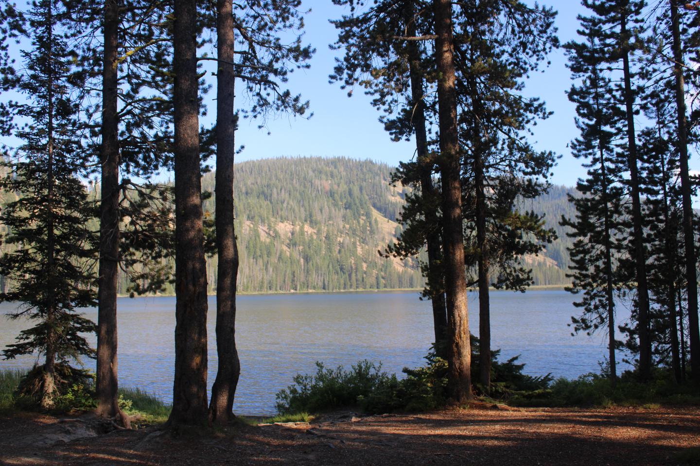 View of Bull Trout Lake through treesView of Bull Trout Lake from campsite