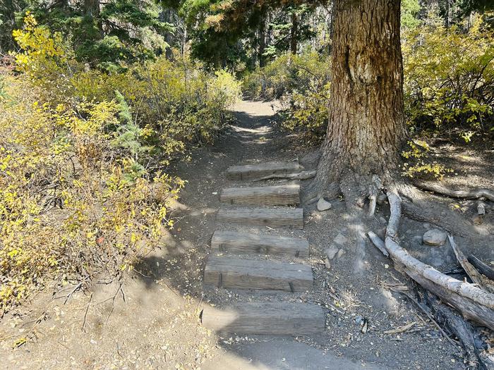 Stairs to picnic table 