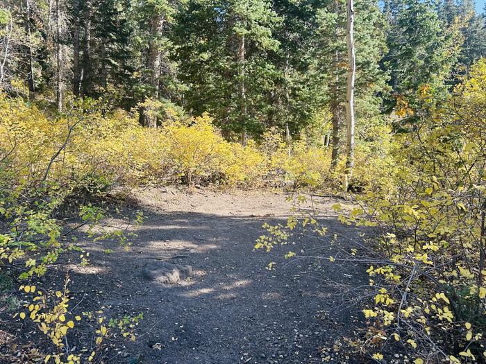 A photo of Site A26 of Loop A at PAYSON LAKES with Tent Pad