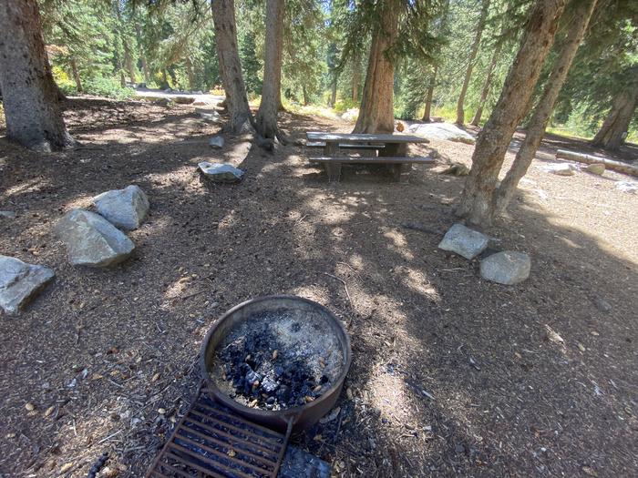 A photo of Site 006 of Loop UPPR at REDMAN CAMPGROUND with Picnic Table, Fire Pit