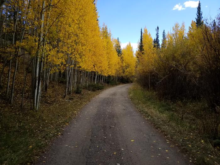 Willow Campground fall colors 1