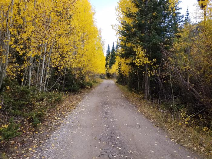 Willow Campground fall colors 2