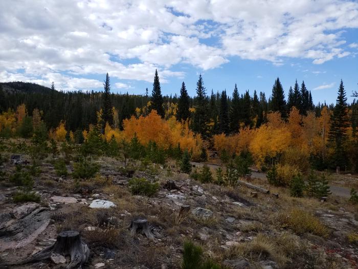 Pine Campground fall colors 2