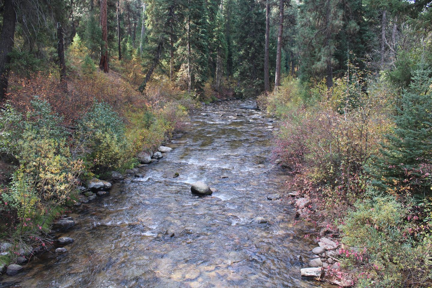 Clear CreekClear Creek, Near campground 