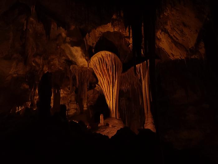 A dark photo of a tendril covered cave formation, barely lit by a nearby source bathing it in a warm light.The famous Parachute Shield