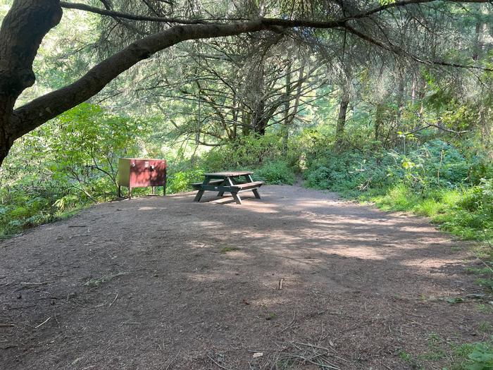 Campsite with picnic table and food storage locker Glen 5