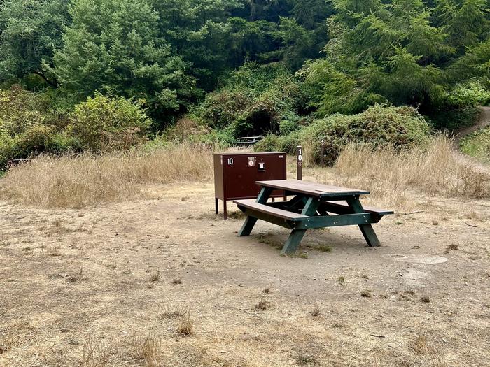 Campsite with picnic table and food storage locker.Glen 10