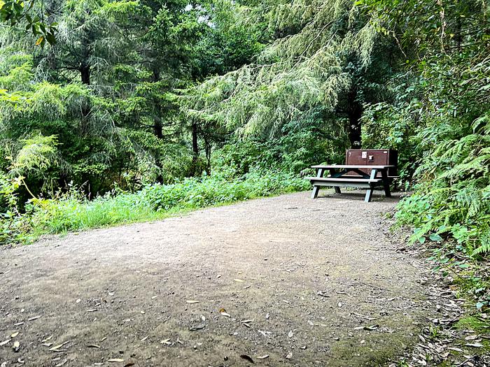 Campsite with picnic table and food storage locker.Glen 7