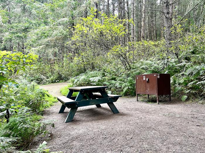 Campsite with picnic table and food storage locker.Glen 6