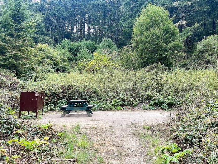 Campsite with picnic table and food storage locker.Glen 9