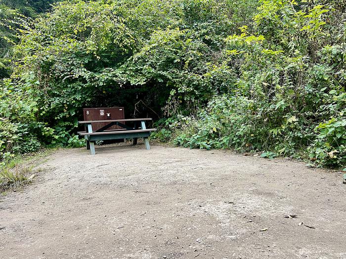 Campsite with picnic table and food storage locker.Glen 8