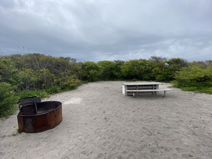 Oceanside site 62 in May 2024. A fire ring with a grill sits on top of a sandy area with a picnic table to the right behind it.  There is greenery located in the background behind the campsite.Oceanside site 62 - May 2024.