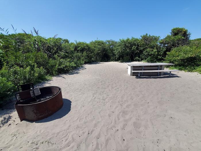 Oceanside site 62 in August 2023.  A picnic table and fire ring with a grill sit on top of a sandy area.  Brush surrounds the campsite on all sides.Oceanside site 62 - August 2023.