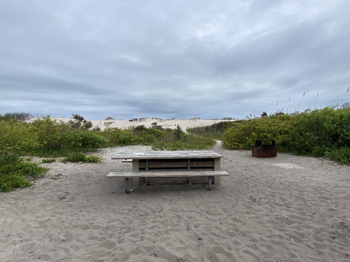 Oceanside site 62 in May 2024.  A picnic table and fire ring sit on top of a sandy area.  Greenery surrounds the campsite.  A sandy pathway leads from the campsite to another sandy area behind the campsite.Oceanside site 62 - May 2024.