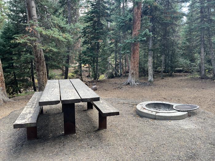 Ledgefork 30 picnic table and fire ring