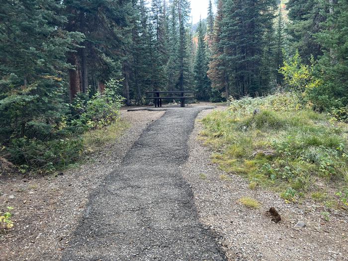 Ledgefork 30 path from parking spur to campsite