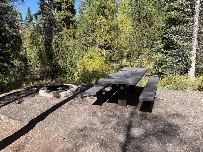 Ledgefork 48 picnic table and fire ring