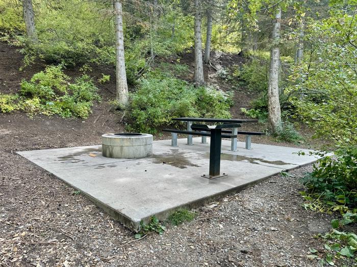 A photo of Site 025 of Loop TIMPOONEKE at TIMPOONEKE with Picnic Table, Fire Pit