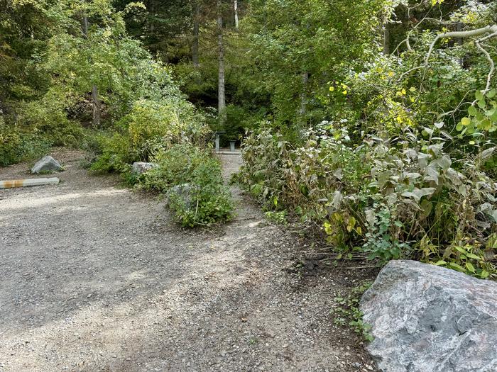 A photo of Site 025 of Loop TIMPOONEKE at TIMPOONEKE with Picnic Table