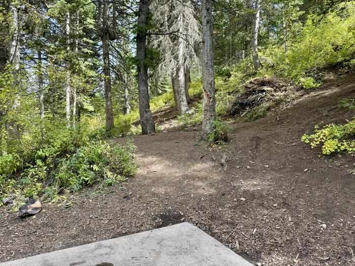 A photo of Site 025 of Loop TIMPOONEKE at TIMPOONEKE with Tent Pad