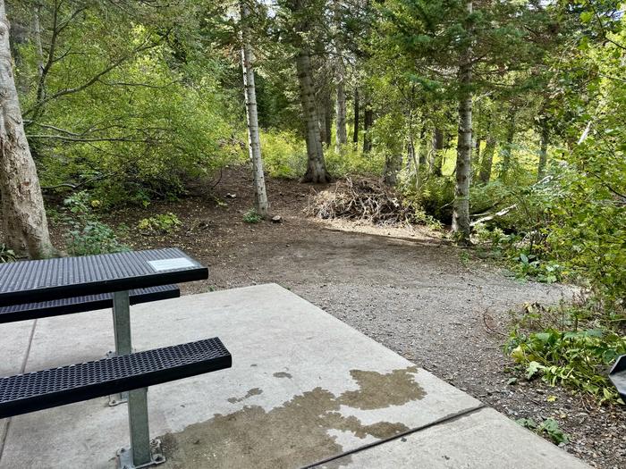 A photo of Site 025 of Loop TIMPOONEKE at TIMPOONEKE with Picnic Table, Tent Pad