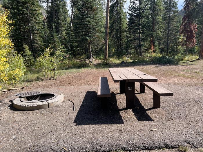 Ledgefork 54 picnic table and fire ring