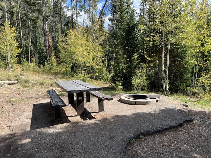 Ledgefork 60 picnic table and fire ring