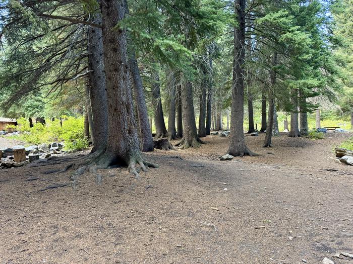 A photo of Site Group Site 1/2 of Loop TIMPOONEKE at TIMPOONEKE with Tent Pad, Waterfront